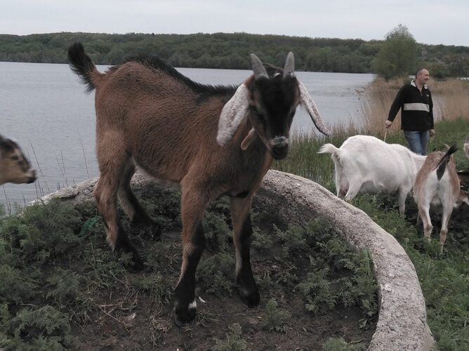 0-02-08-13c5577ea82ff09b0f091abec644beb6c1f2554c141363e08499e3251979eed9_d533aefc