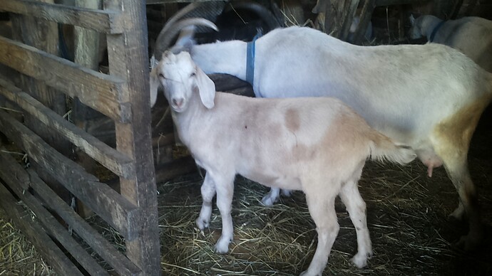 20190402_095606_Unnamed%20Road