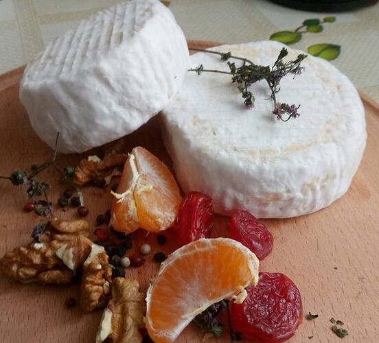 24231994_1975947599391329_4654527009130548077_n