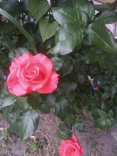 IMG_20200614_201615