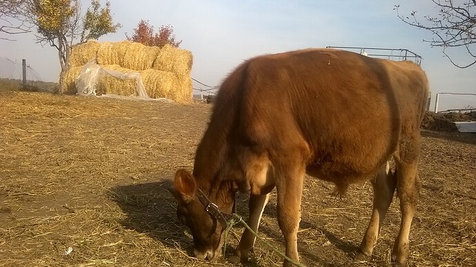 WP_20181019_12_23_07_Pro%5B1%5D