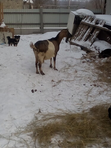 IMG_20180228_095139%5B1%5D