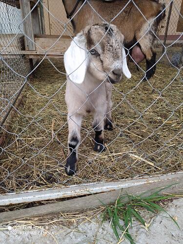 0-02-05-b7ef36ad74abf58cbdc94d7be2ef859eb04138aa2a9eb96bfcbf3f0fb9ea7e4c_f0caad4f