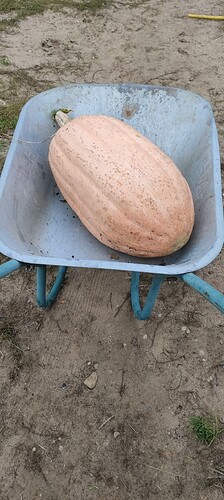 IMG_20220923_171548