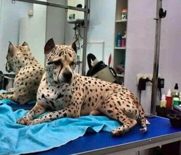 fileMini2019-01-08T23-49-55