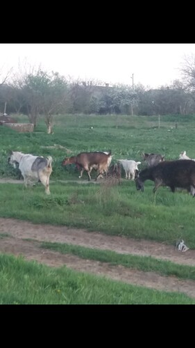 Screenshot_20190422-193646