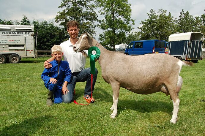 11863376_810489045733513_1835184890965677627_n