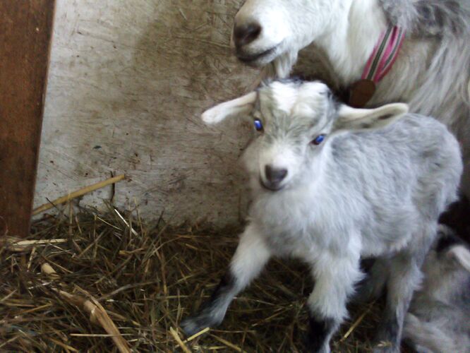 %D1%82%D1%83%D0%BB%D1%8F1