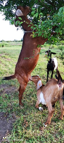 IMG_20230719_195241