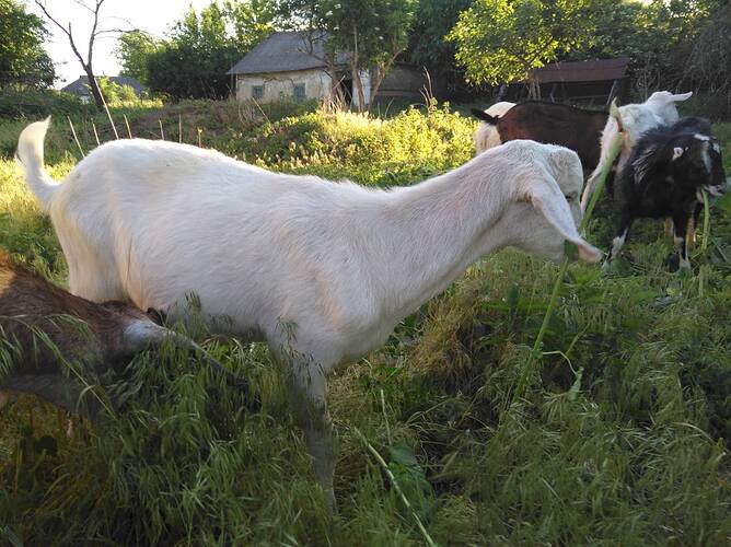 0-02-05-6ad2ddf3530893b801e191c2523fa894c42c6b57ebd78446fce50f523e4598c3_75ad38b2