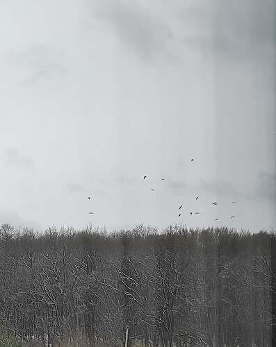 IMG_20220403_123947