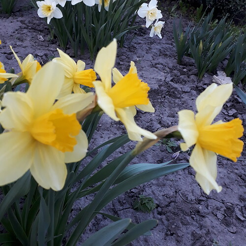 20180415_192843