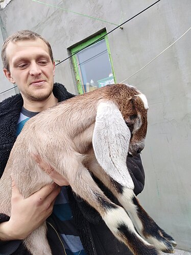 29354706_565386610510510_1417304965679544893_o