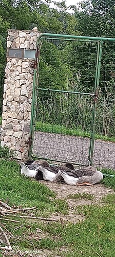 IMG_20230811_183849