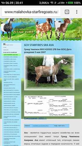 Screenshot_2018-09-06-20-41-00-866_com.android.chrome