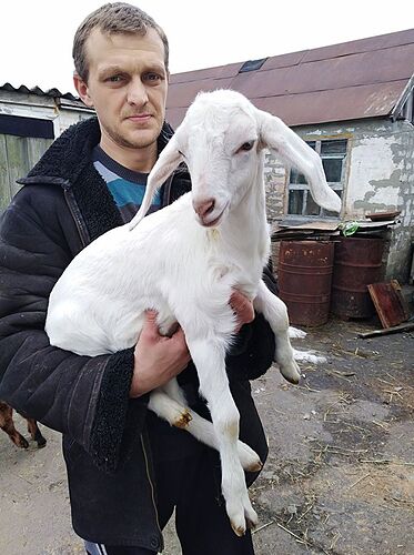 29594735_565383393844165_5300200733042470916_n