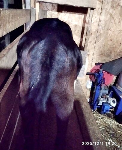 photo_3_2025-12-01_19-40-09