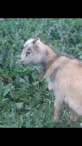 Screenshot_20190416-202206