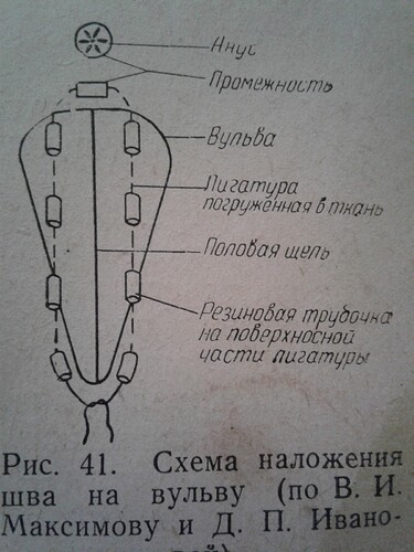 20190127_145024