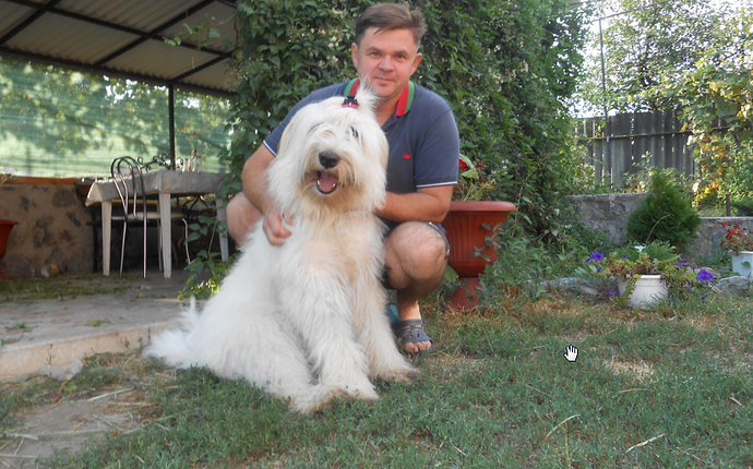 %D0%A1%D0%BA%D1%80%D0%B8%D0%BD%D1%88%D0%BE%D1%82%202018-12-24%2016_22_36