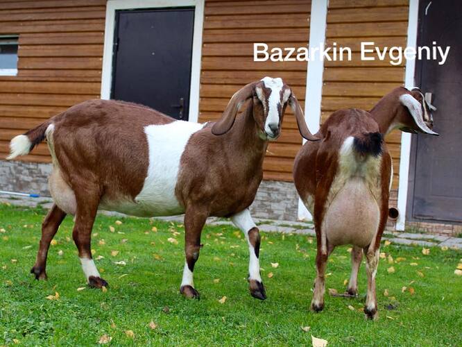 22552391_1465015183616603_1628276762368196825_n