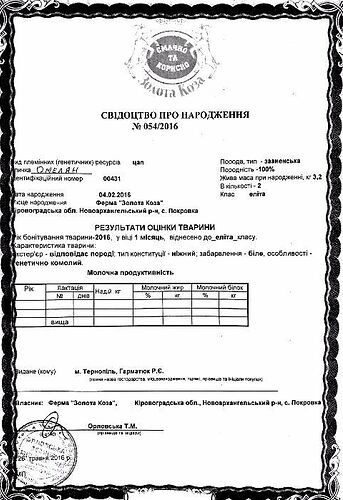 526577254_2_1000x700_vdmnniy-zaanenskiy-tsap-cheka-narechenu-fotografii_rev001