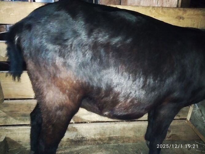 photo_2_2025-12-01_19-40-09