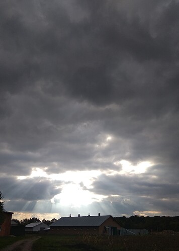 IMG_20201021_201111