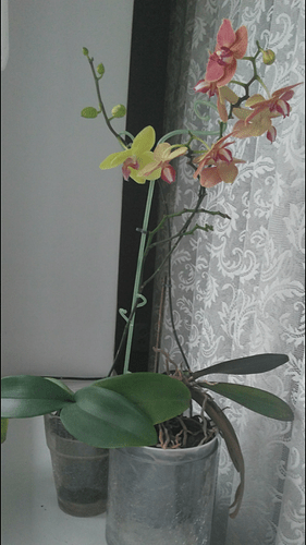 Screenshot_20191214-125907