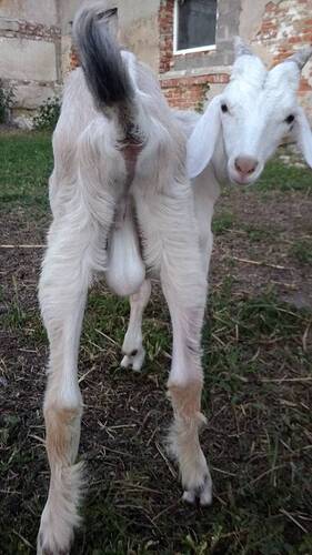 IMG-86b3162e451fb20b006f0f695e5e271b-V