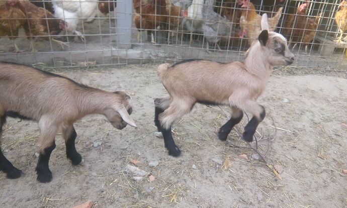 IMG_20180509_174212_18CS