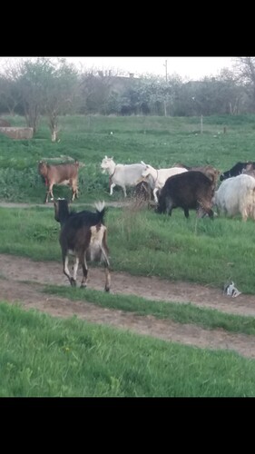 Screenshot_20190422-193706