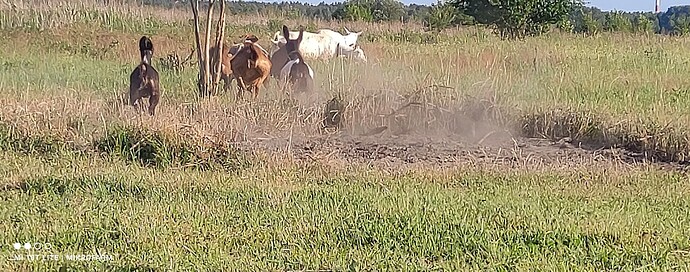 IMG_20230625_190816