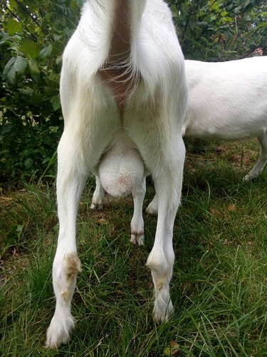 36981932_1858209230932661_8889960898261680128_n