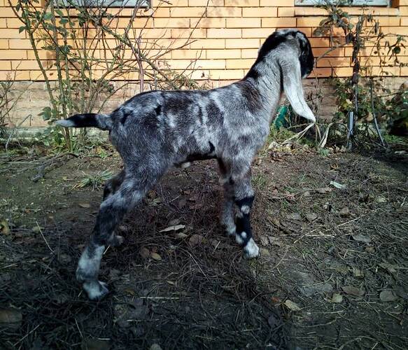 IMG-94bad31b64d7355f30791c155d13c4b4-V