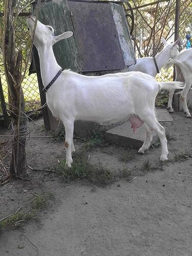 37610771_1874596575960593_7591261885731700736_n