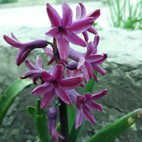 20180415_193453