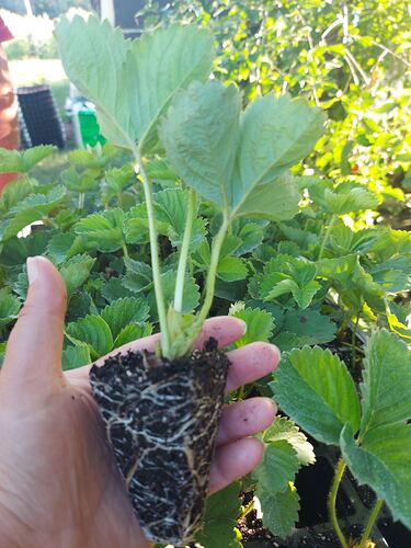 IMG-d6fb49012e0e0fb9a6170bfd41c1ec4f-V