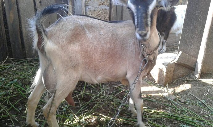 %D0%B8%D0%B7%D0%BE%D0%B1%D1%80%D0%B0%D0%B6%D0%B5%D0%BD%D0%B8%D0%B5_viber_2019-08-14_13-07-09