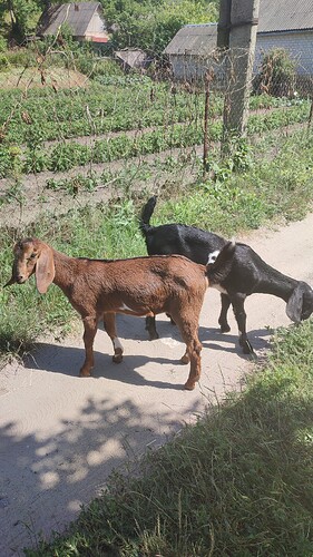 IMG_20250627_144655