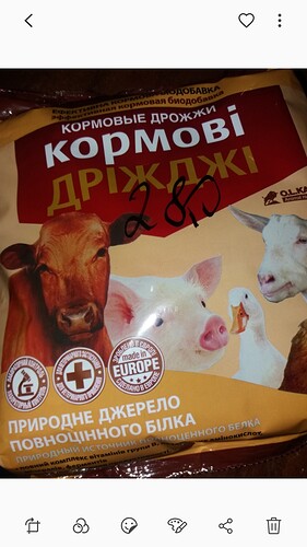 Screenshot_20190422-213818