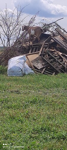 IMG_20230623_130042