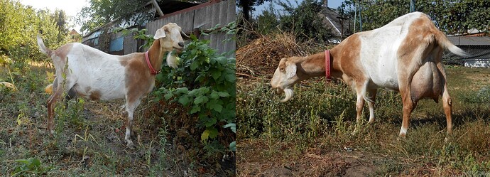 imgonline-com-ua-2to1-F9pJhd2MGbNKSZ