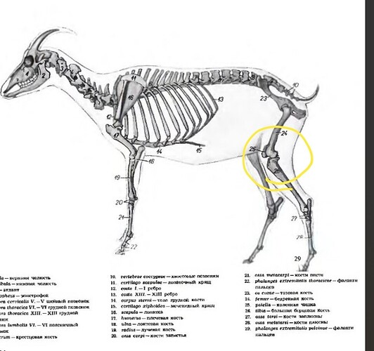 Screenshot_20220327-232011_Chrome