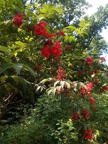 IMG_20210707_130039