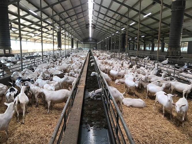 42218093_1855748267874247_8223096156733833216_n