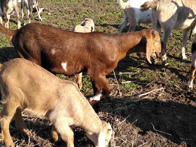 0-02-05-d58caccee38e973b5d32d58f591a779ac18fb44ac2a91203be9f658965d2847d_65d5407cj