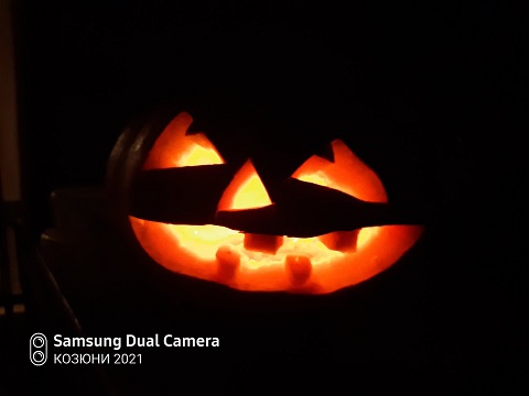 0-02-01-d7e7eb496aa72539ab8da26834092da6a98d2b89866f02a2e45c595cd3a6b202_fbba36891a47548e