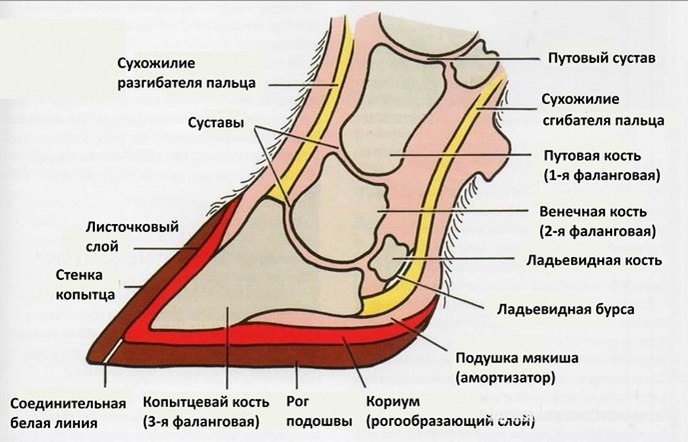 DVy4OvoZ_iA