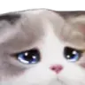 :psycat_sad: